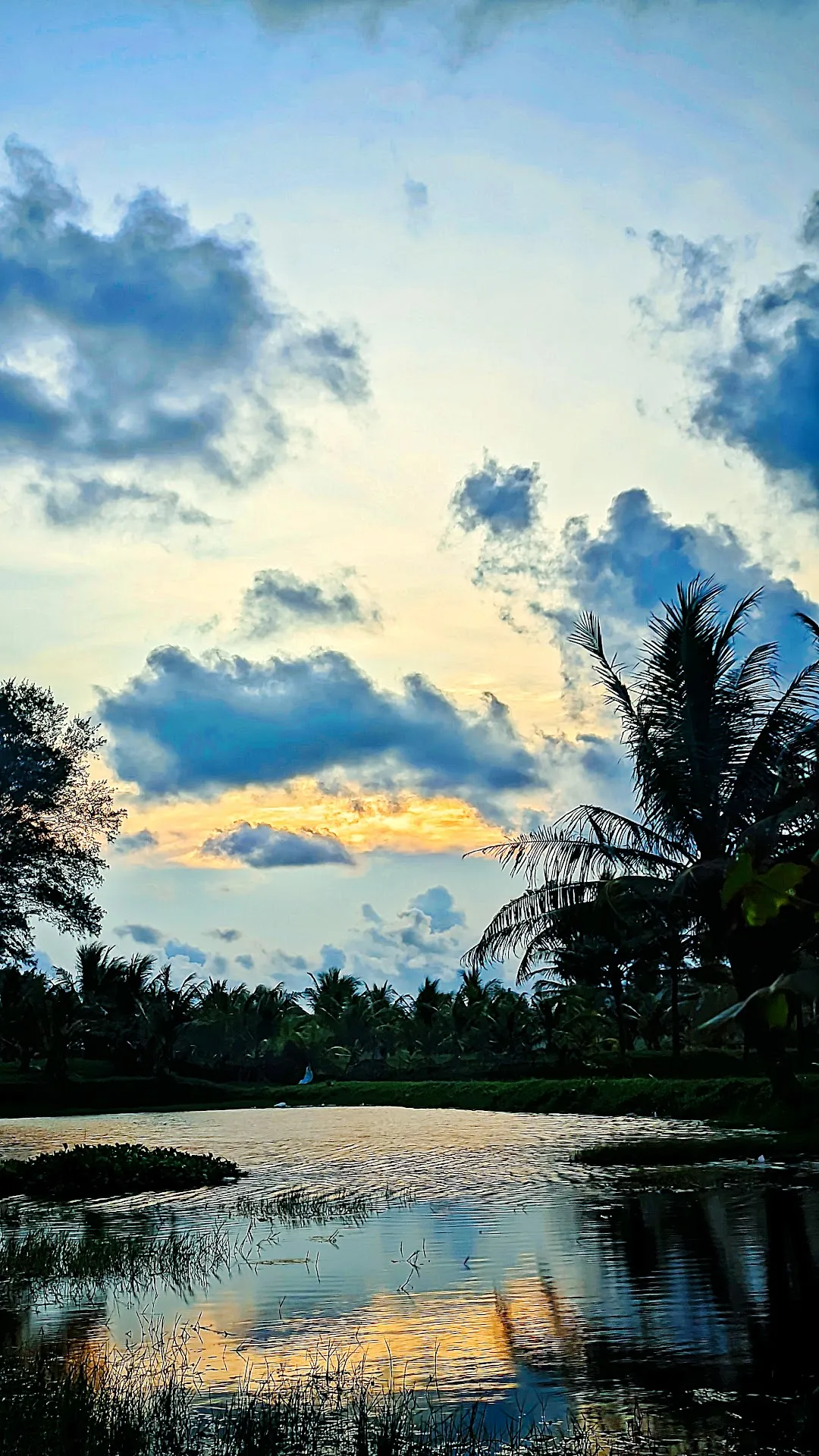 Pantai Wisanggeni
