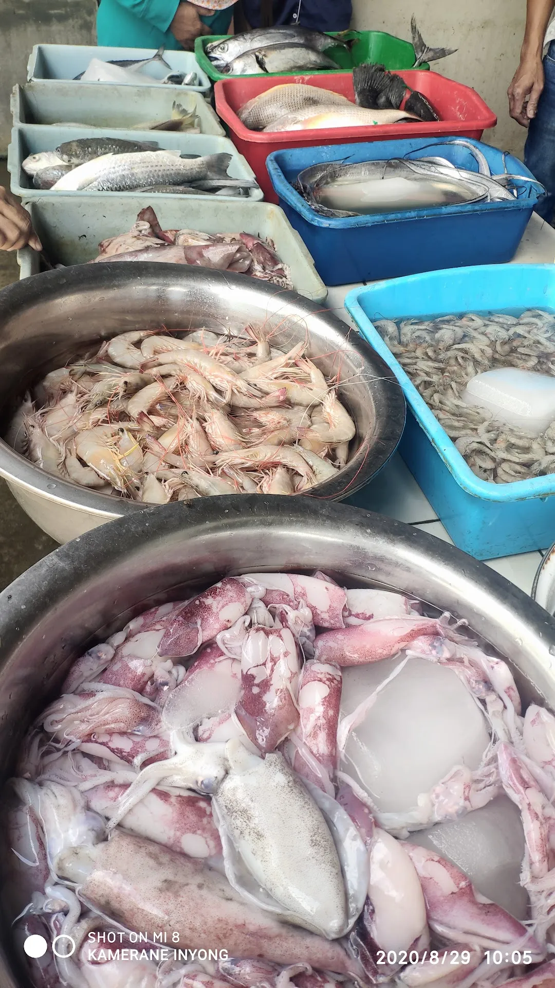 Pasar Ikan PPC