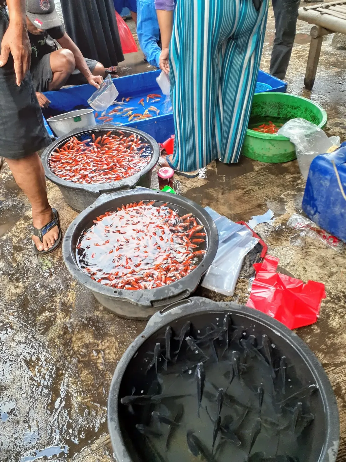 Pasar Wage Karang Kandri