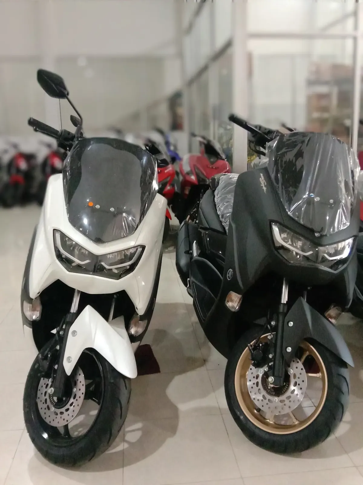 Pembelian motor baru BINTANG.P
