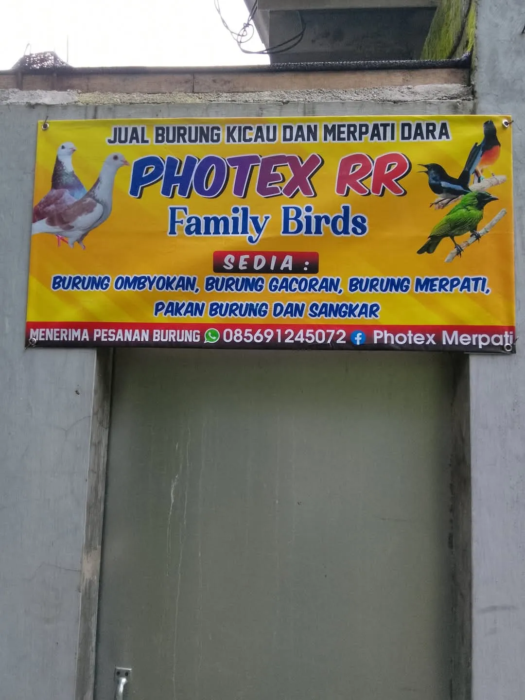 Photex RR family Birds