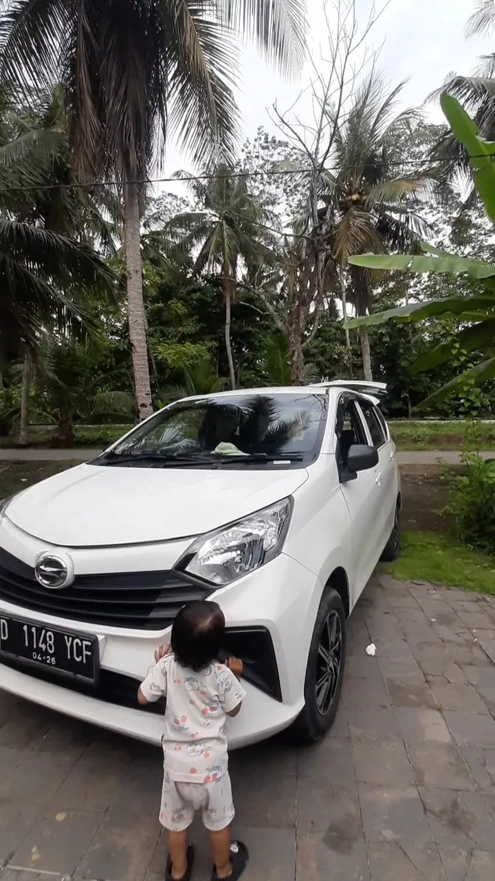 Pinas Trans
