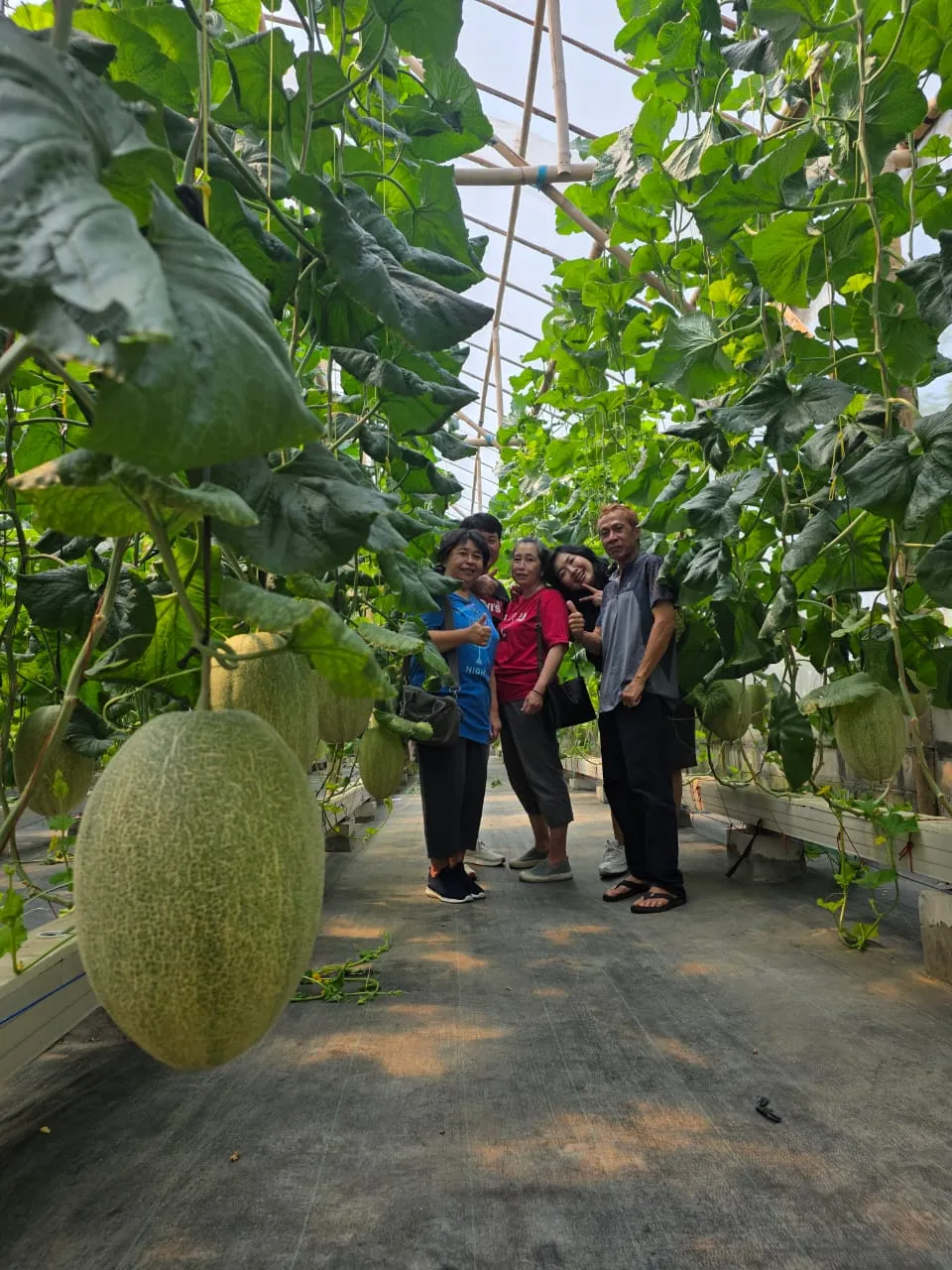 PituSanga Farm Greenhouse