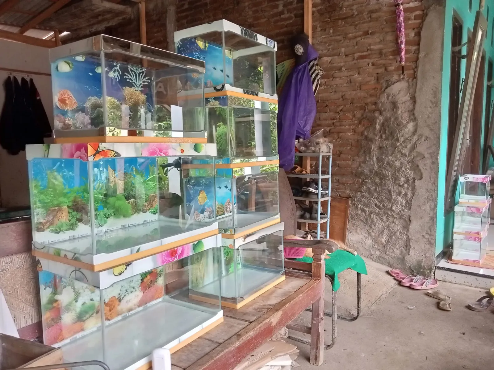 Pojok Aquarium