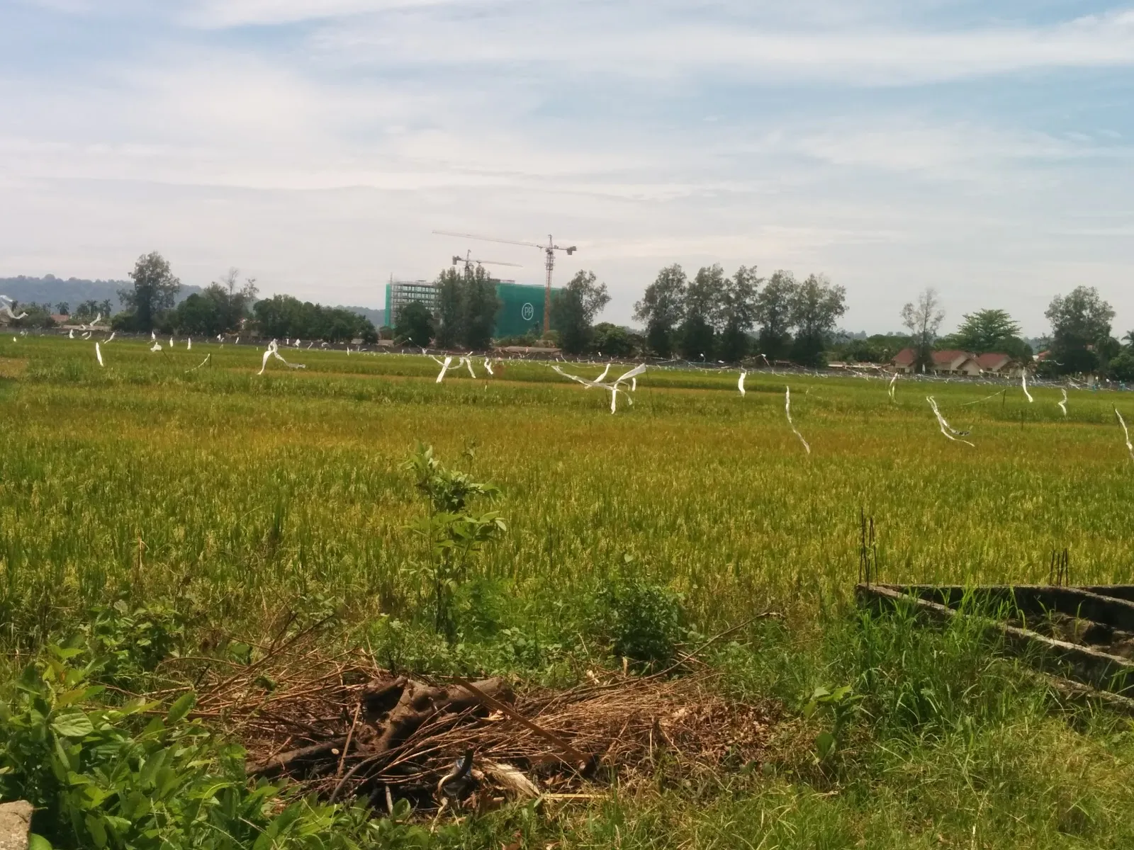 Mamba'ul Ulumi Asy Syar'iy Islamic Boarding School