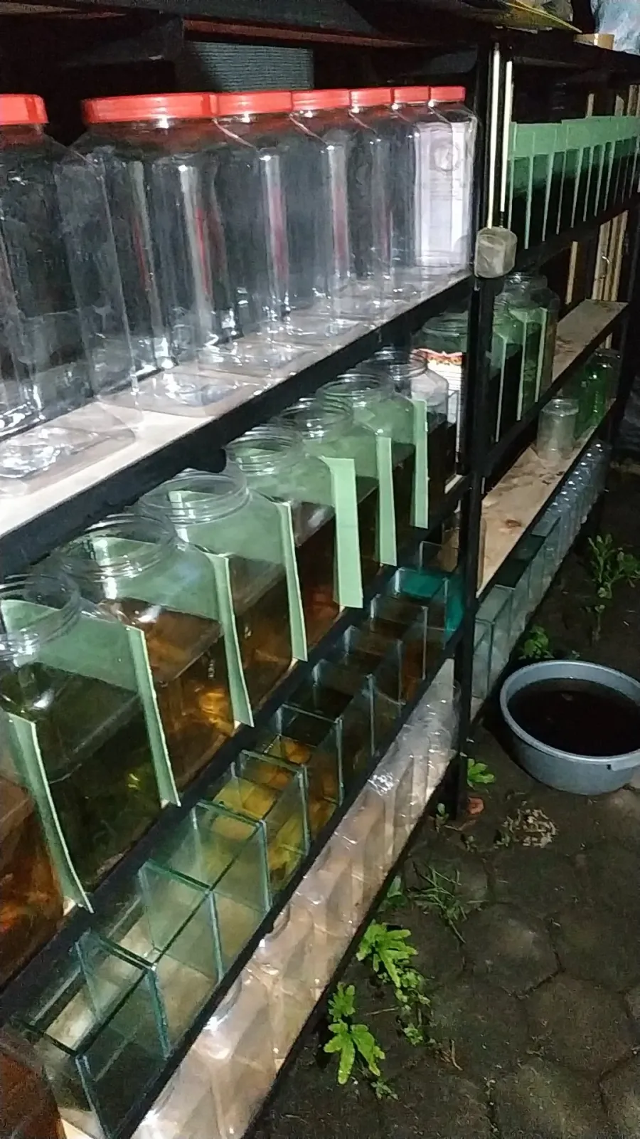 Prisa Aquatic Farm