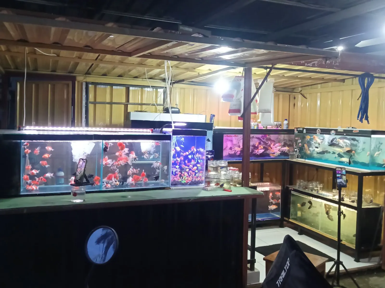 PUSAT IKAN HIAS JERUKLEGI