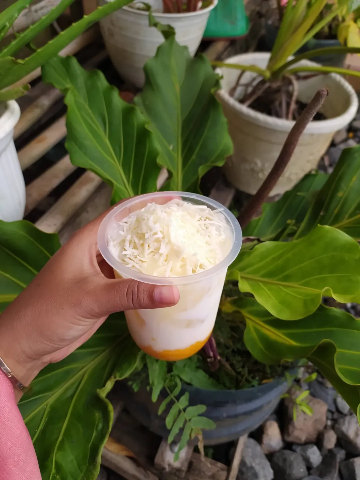 RAJANYA JUICE