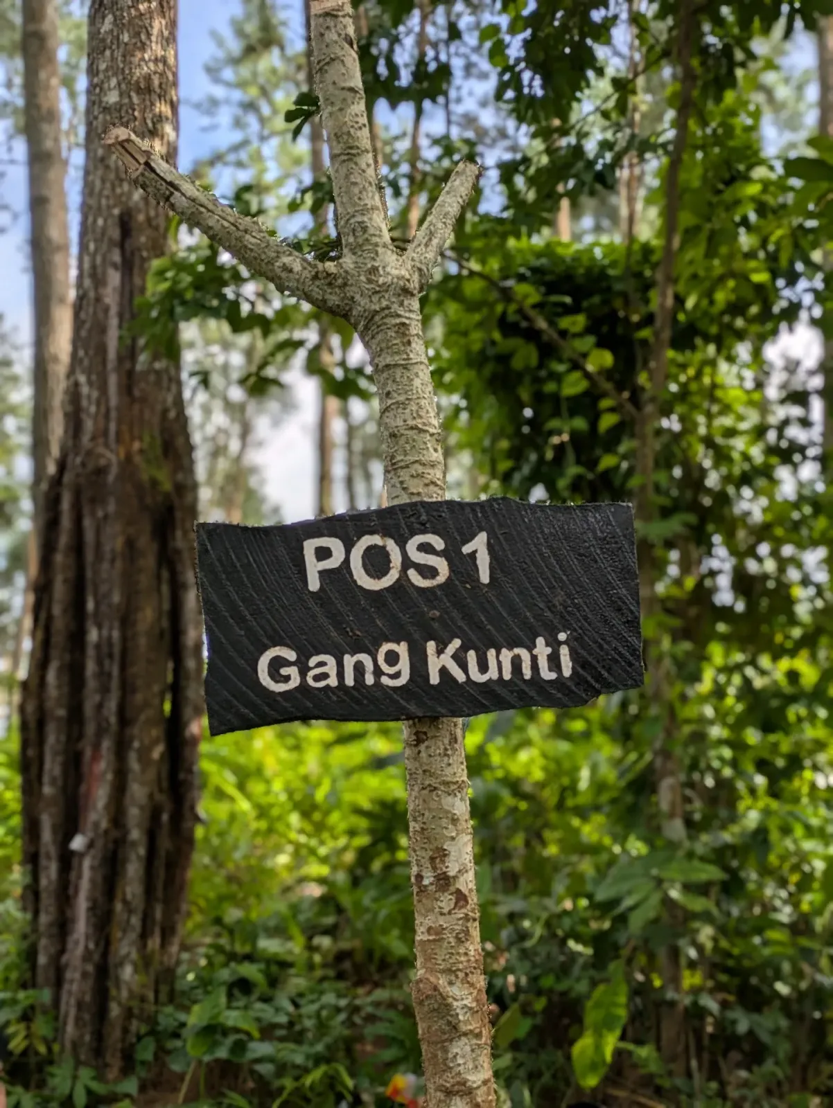 Rawa Batu Urip