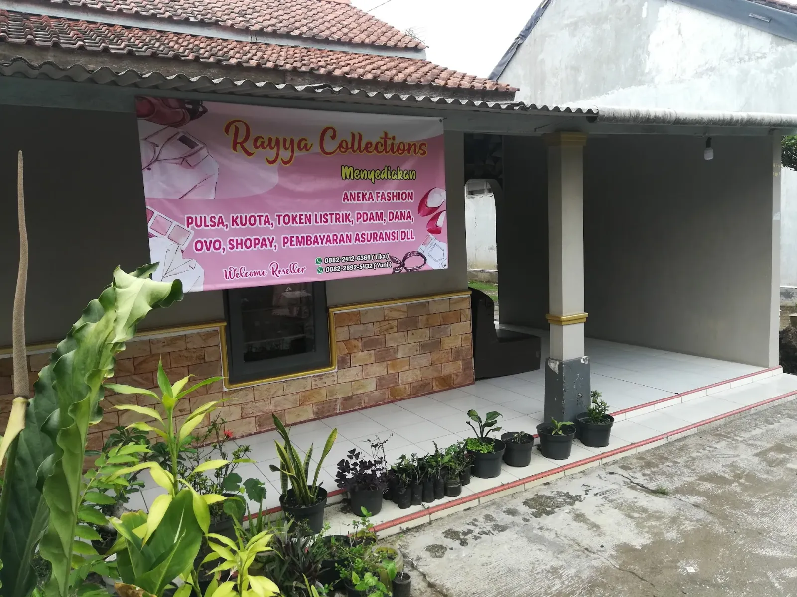 Rayya Collection's