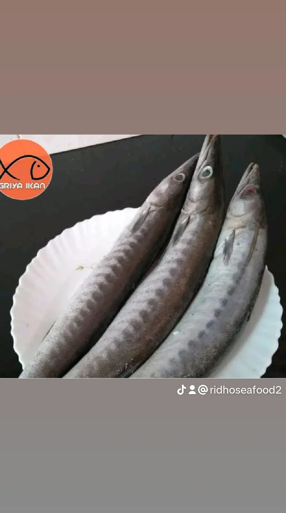 Ridhoseafood