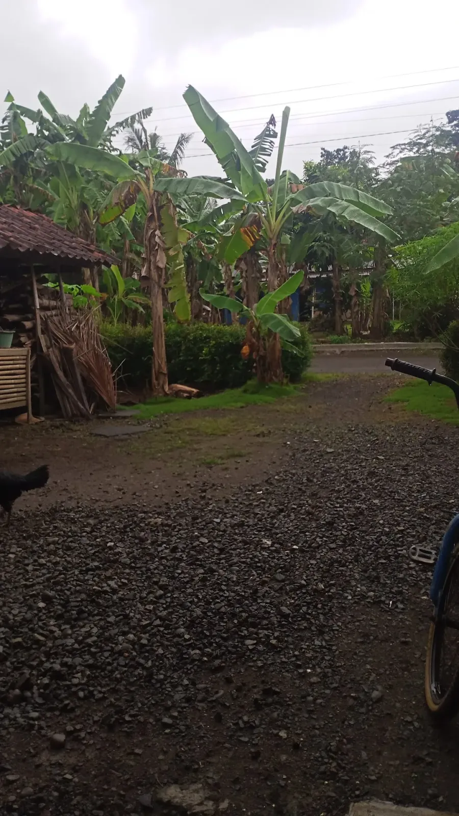 rumah achmad