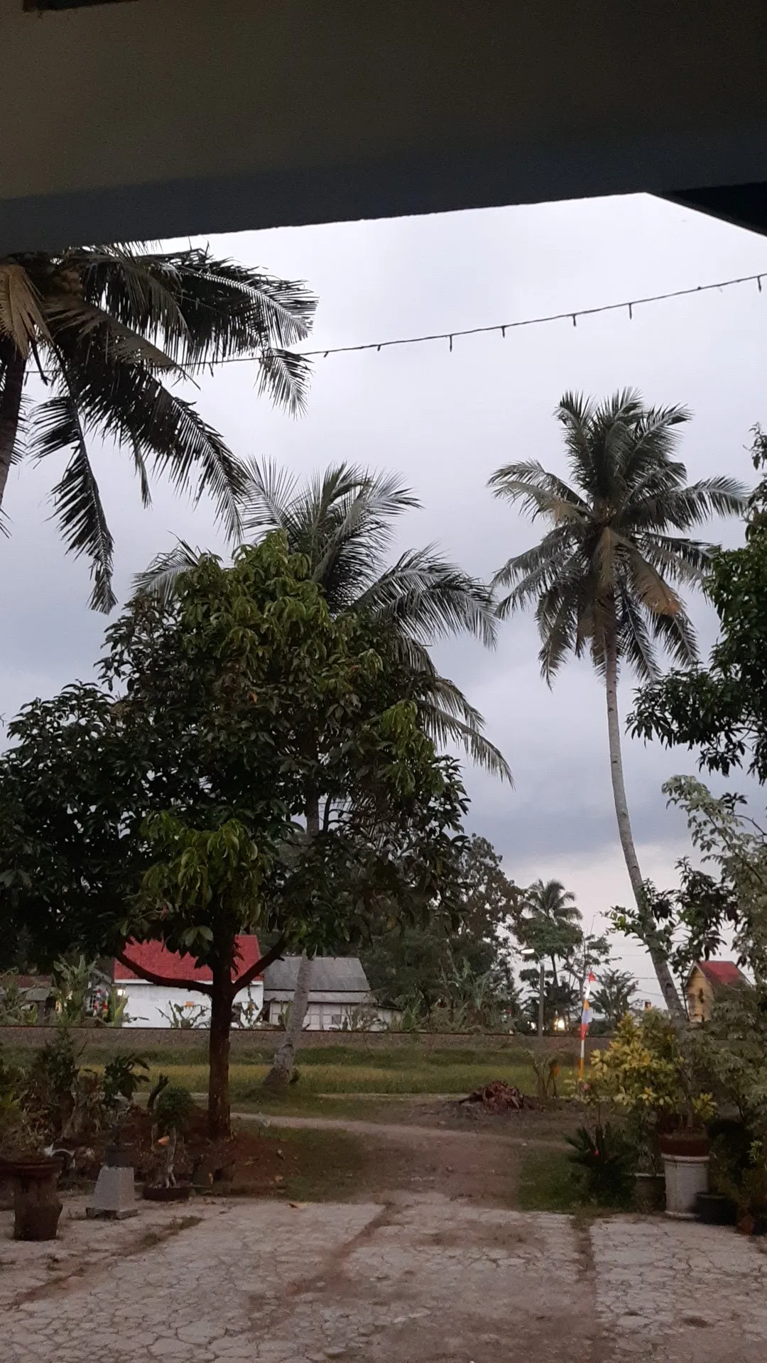Rumah jenifer