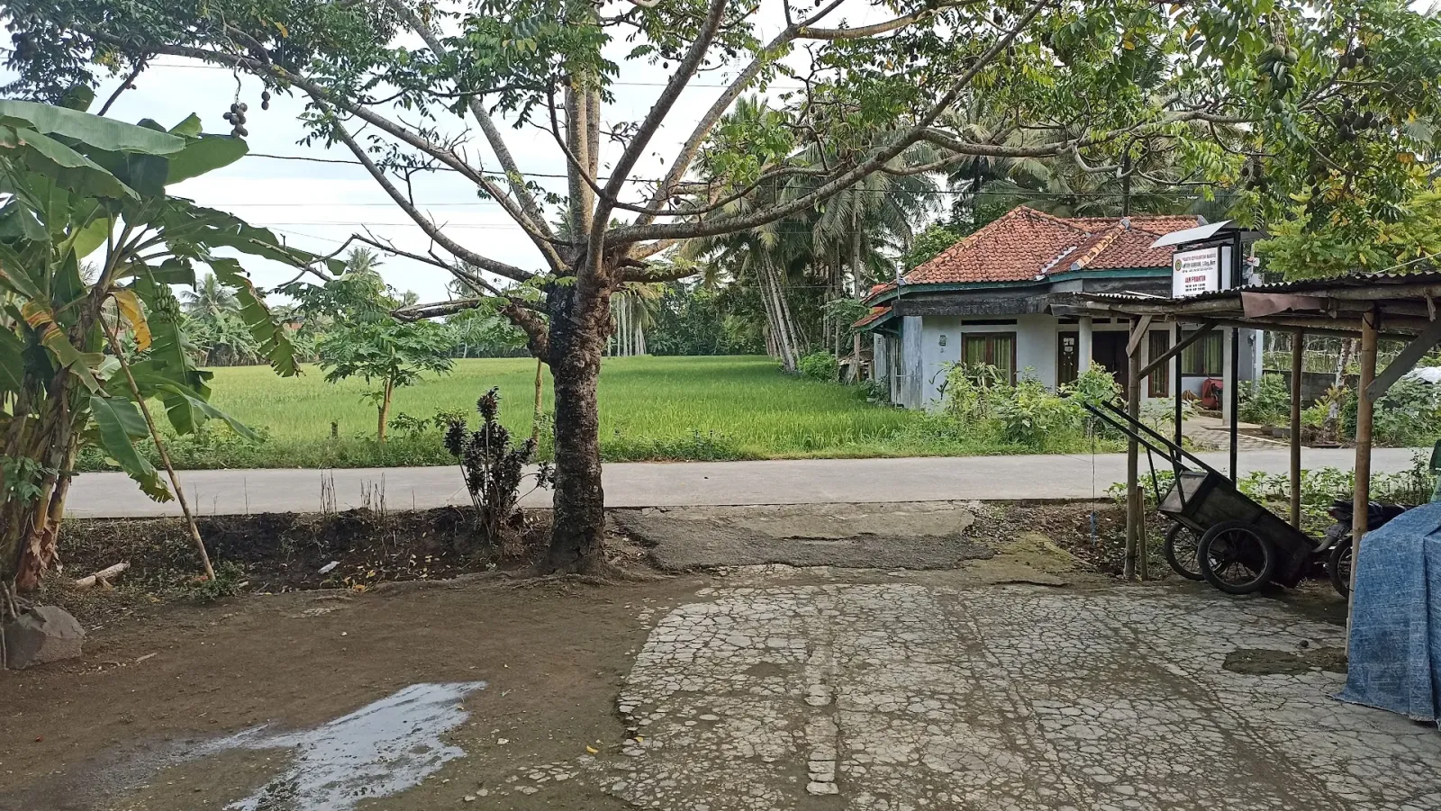 RUMAH KHITAN ASYIFA (PRAKTIK KEPERAWATAN MANDIRI ANTON RAMDHANI, S.Kep., Ns)