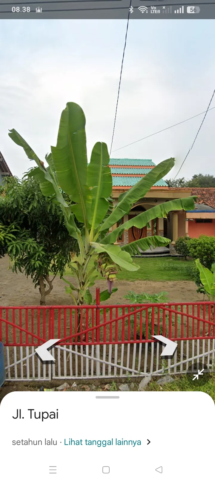 Rumah Martabak