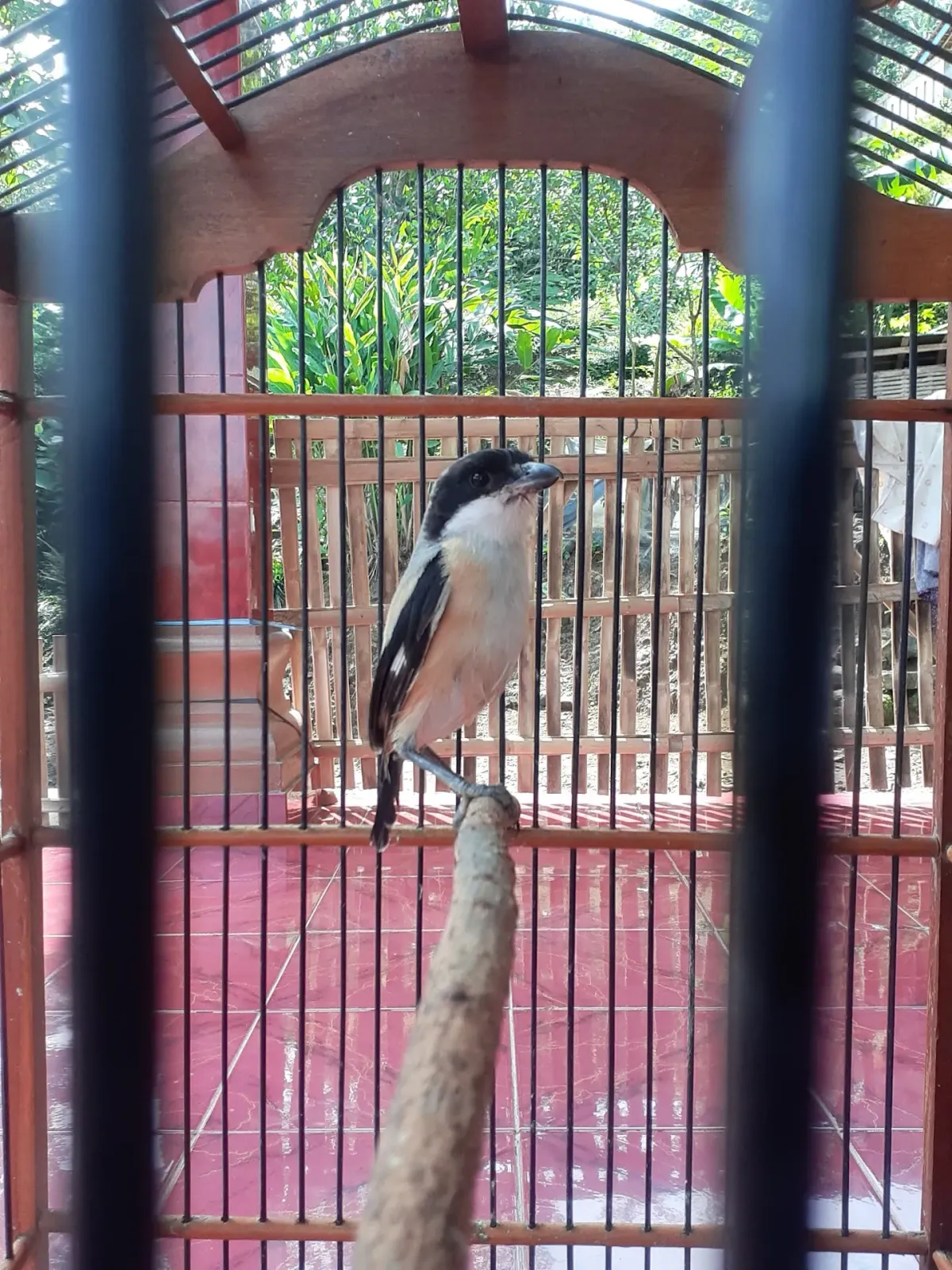 Rumah yasmin AA