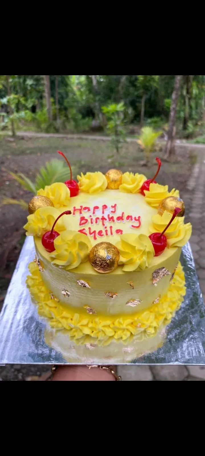 Sany cake kue ultah