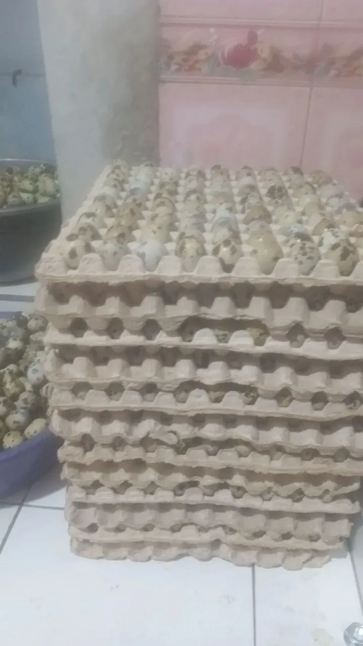 Sarkam