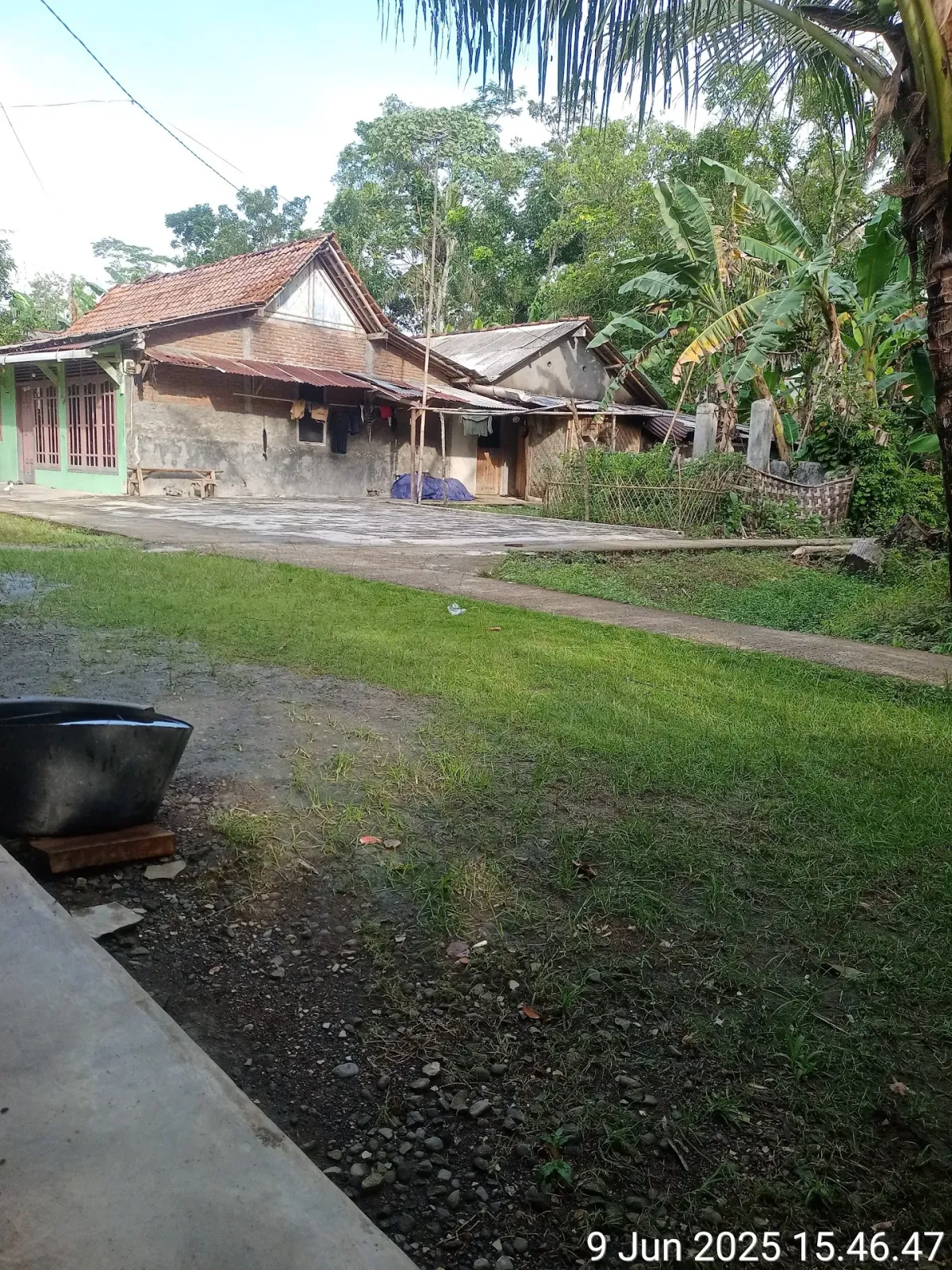 Savana cafe
