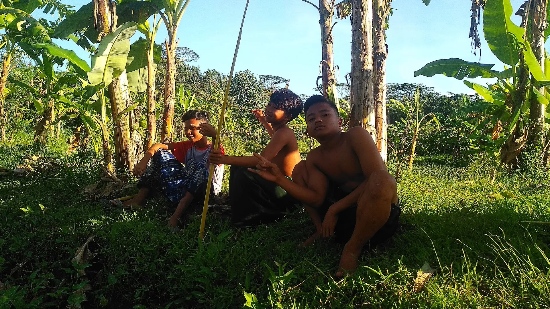 Sawah nongkrong