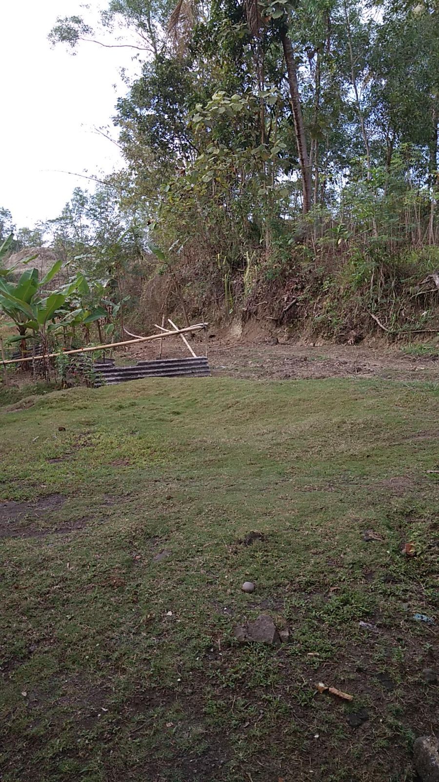 SD Negeri Jeruklegi Kulon 04