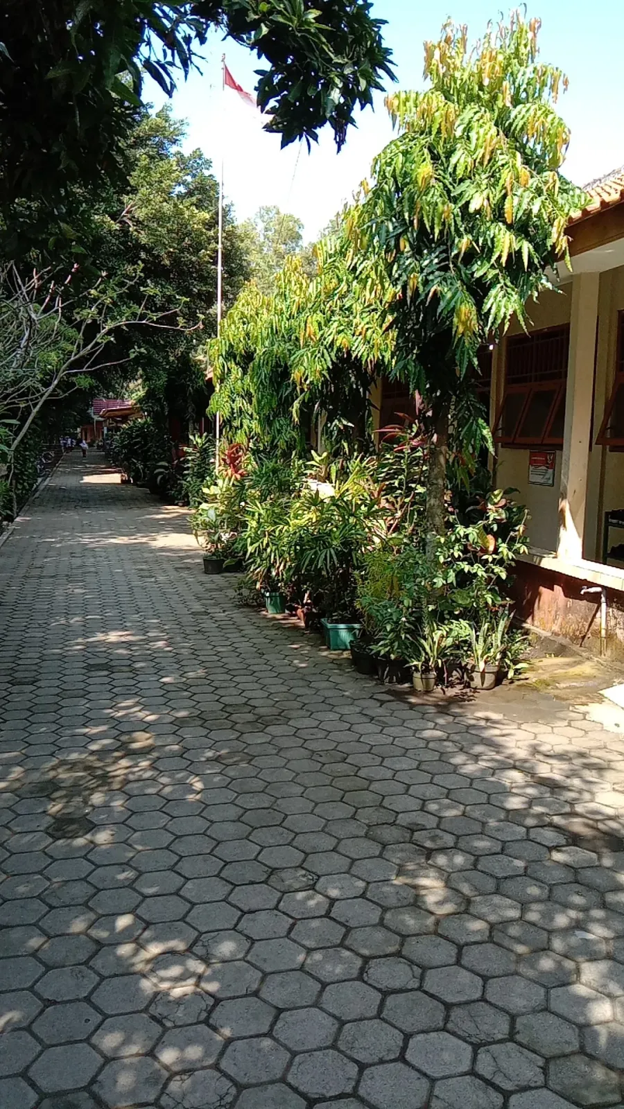 SDN Glempangpasir 05