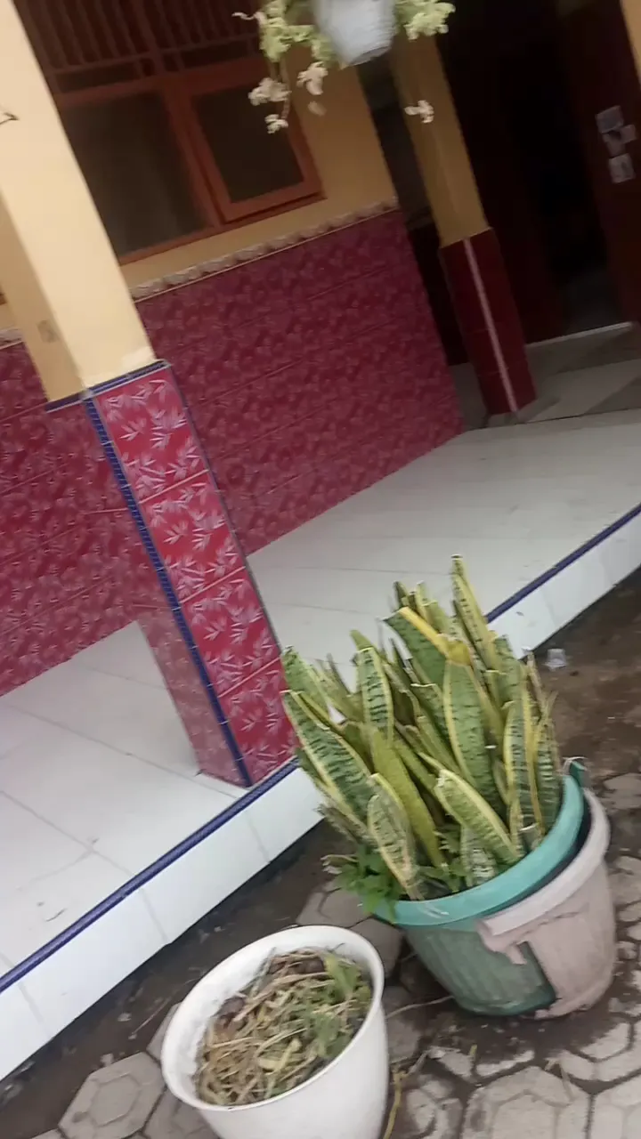 Sekolahsnku