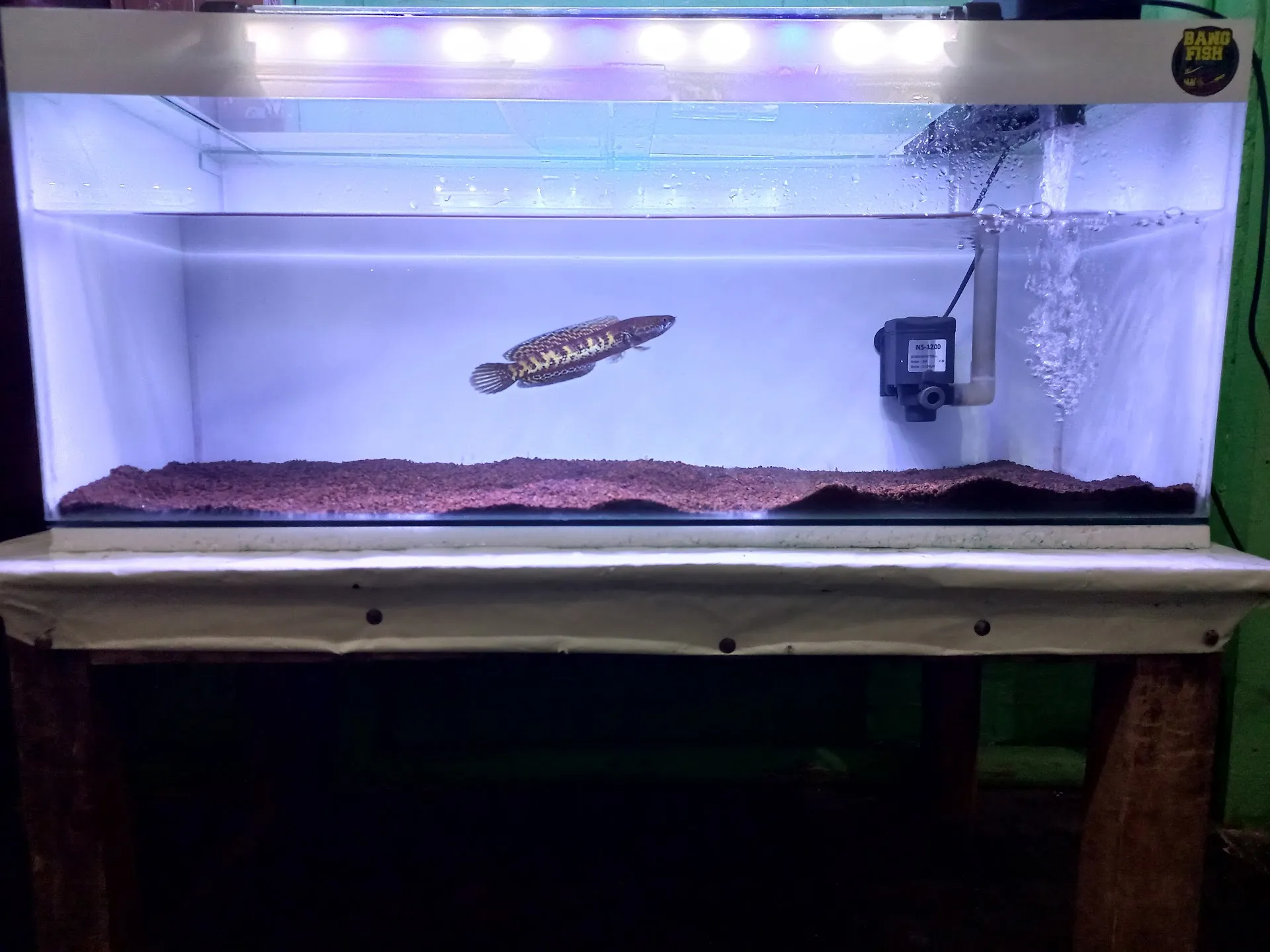 Serayu Aquatic