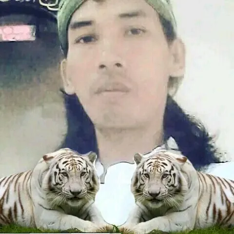 Shandyprastio(mbah)