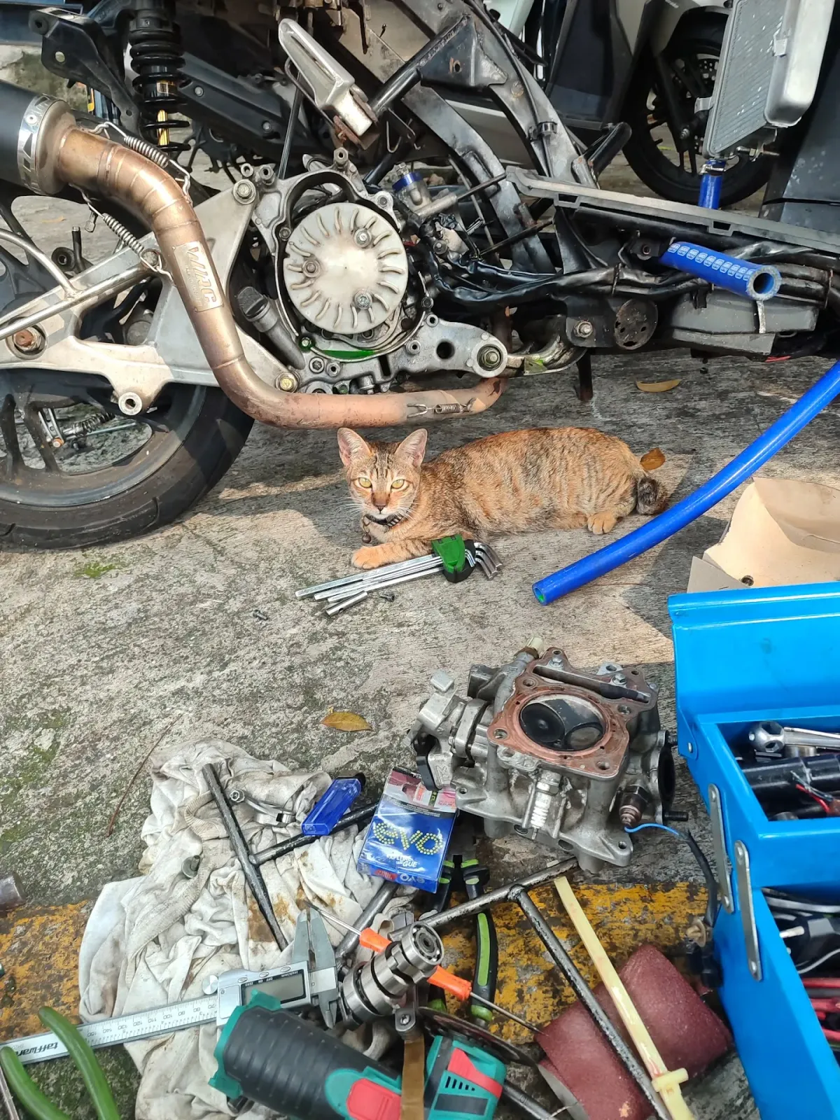 Si bengkel desa ( andriansyah )