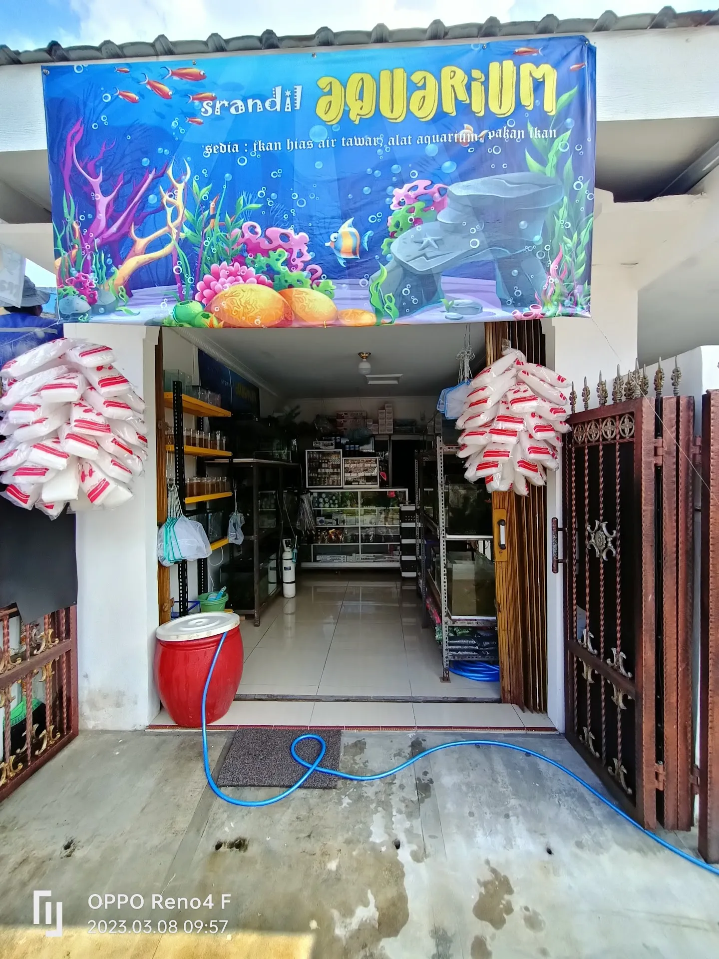 srandil aquarium
