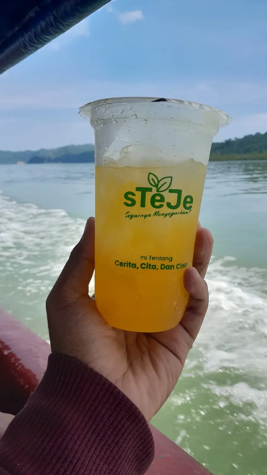 Steje 8 Adipala