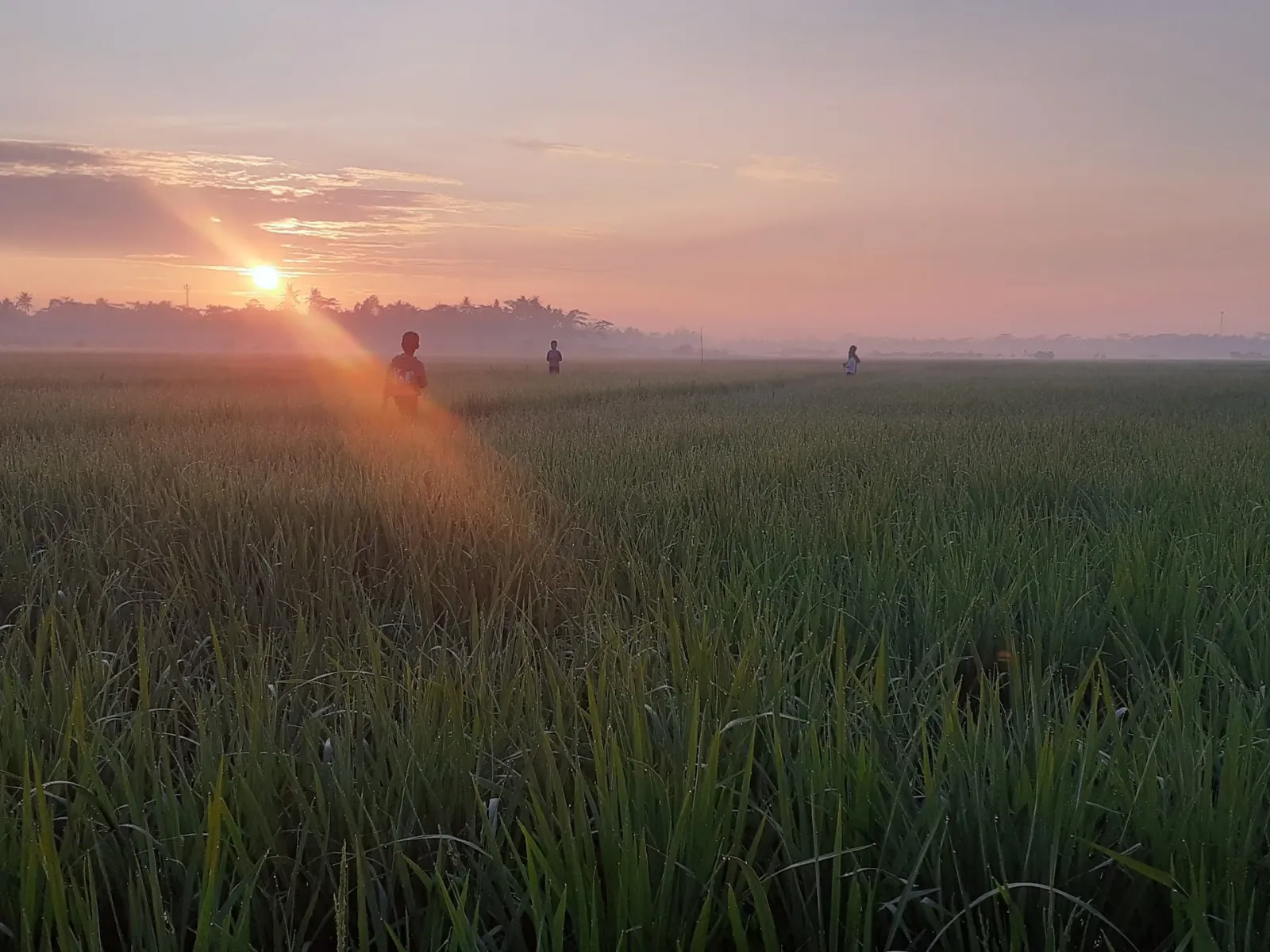 Sunrise Cisumur