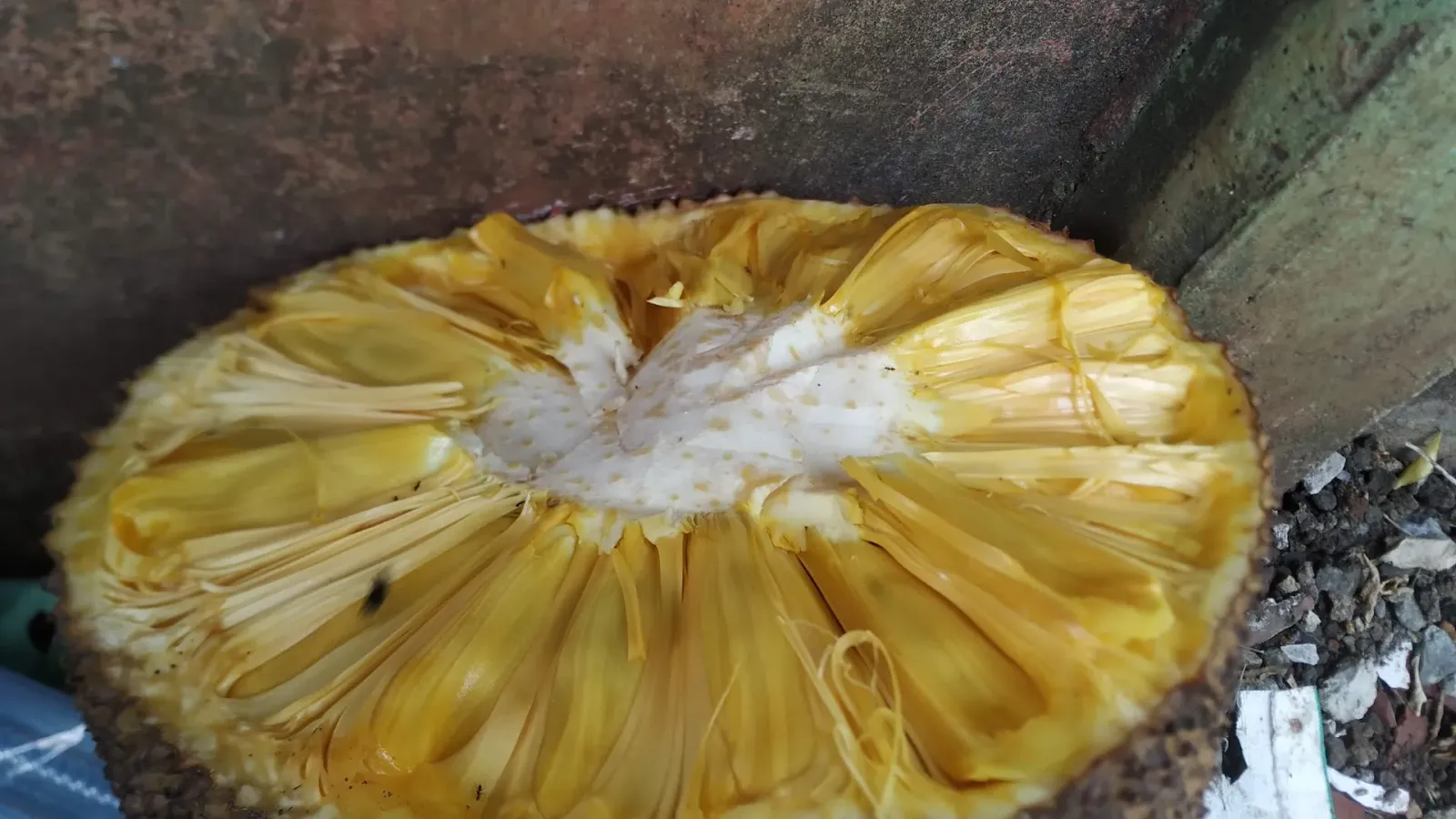 Sutarso tukang kayu
