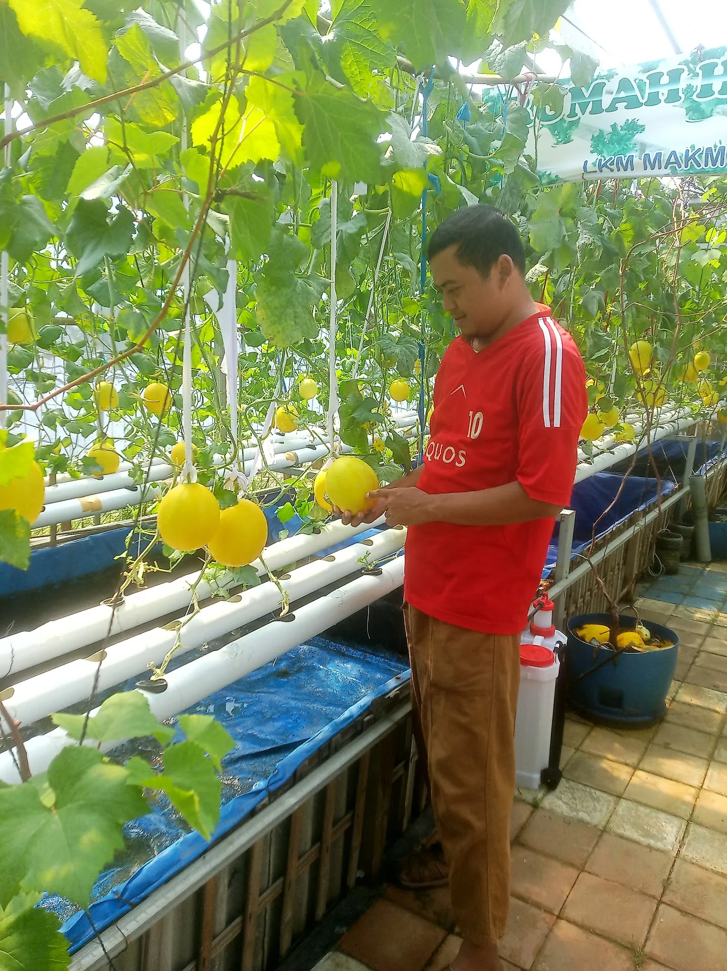 Taman Edukasi Ketapang