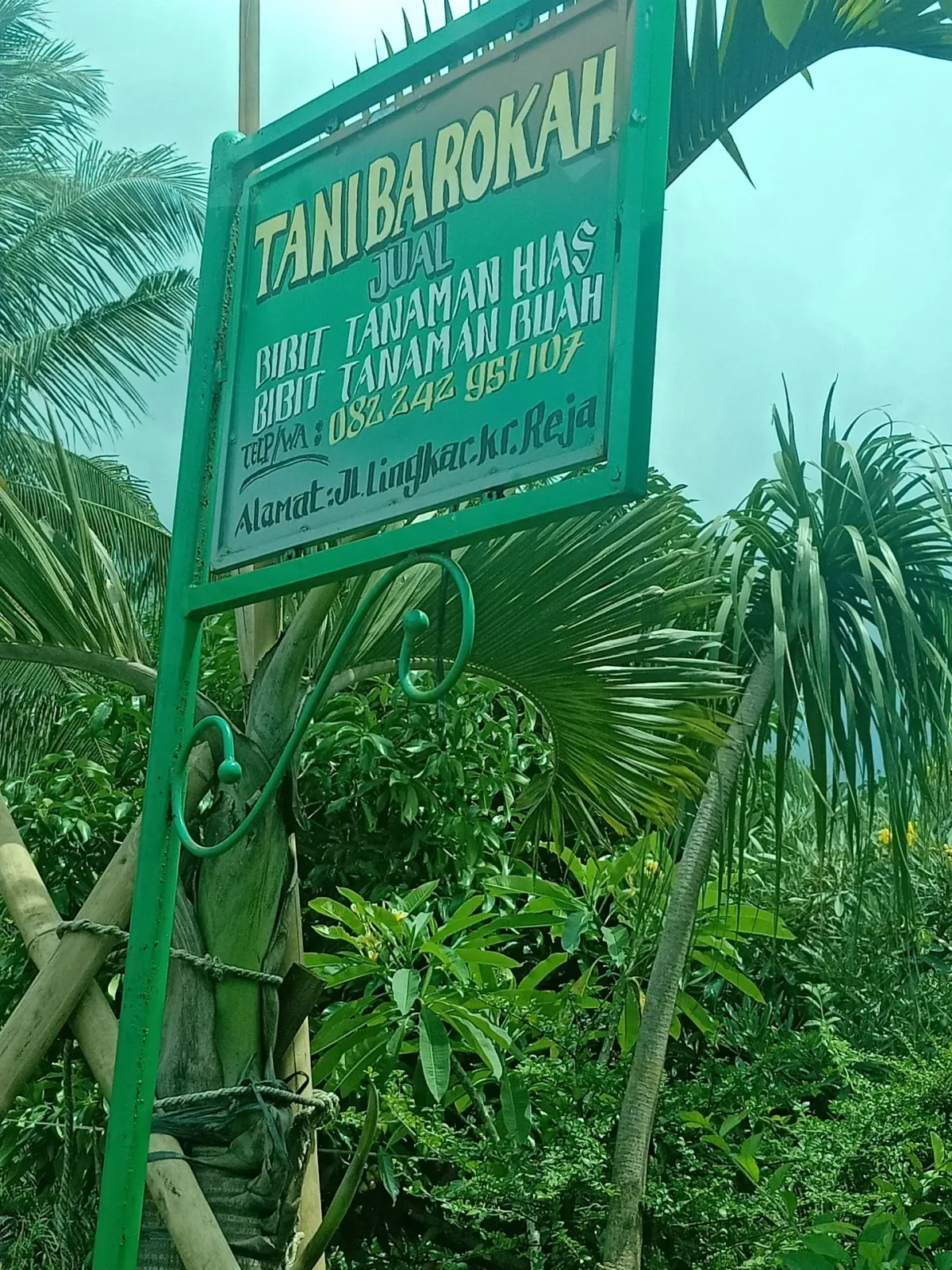 Tani Barokah Tanaman Hias Dan Buah
