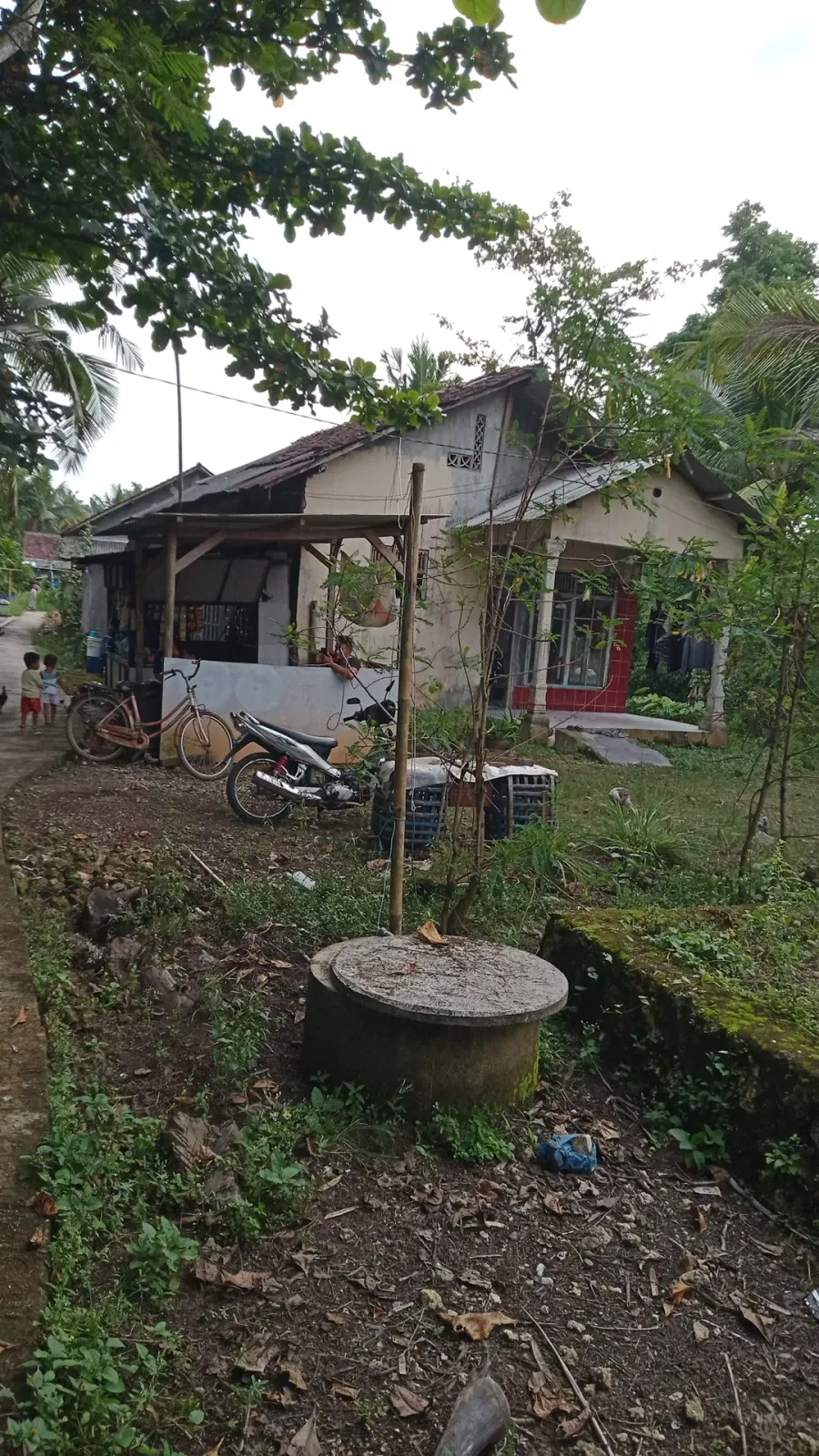 Tarminah Bakul Ayam