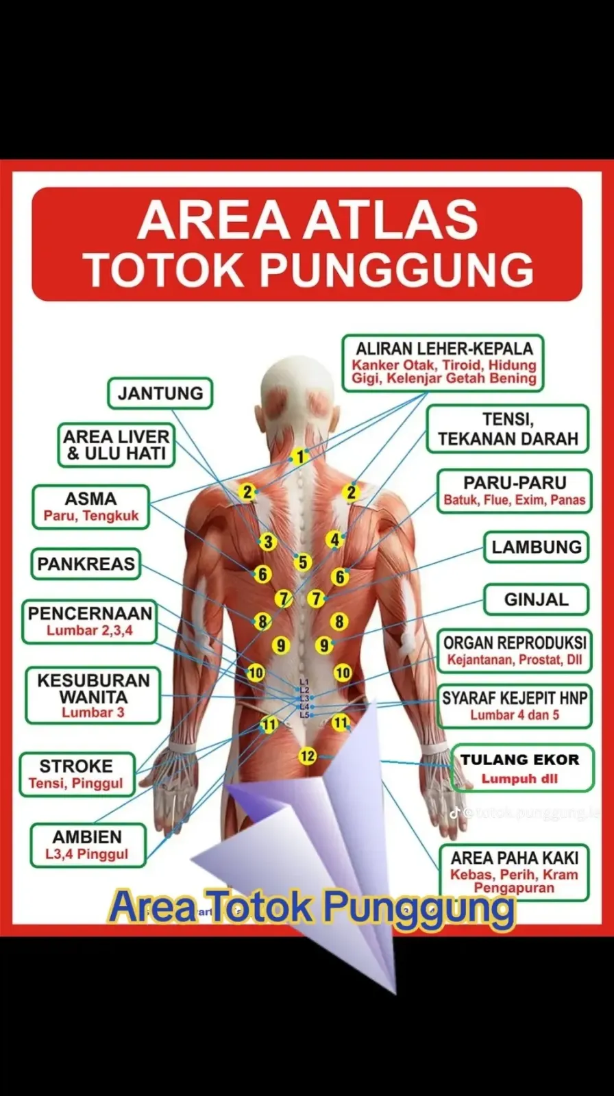 TERAPI TOTOK PUNGGUNG ( TOPUNG )