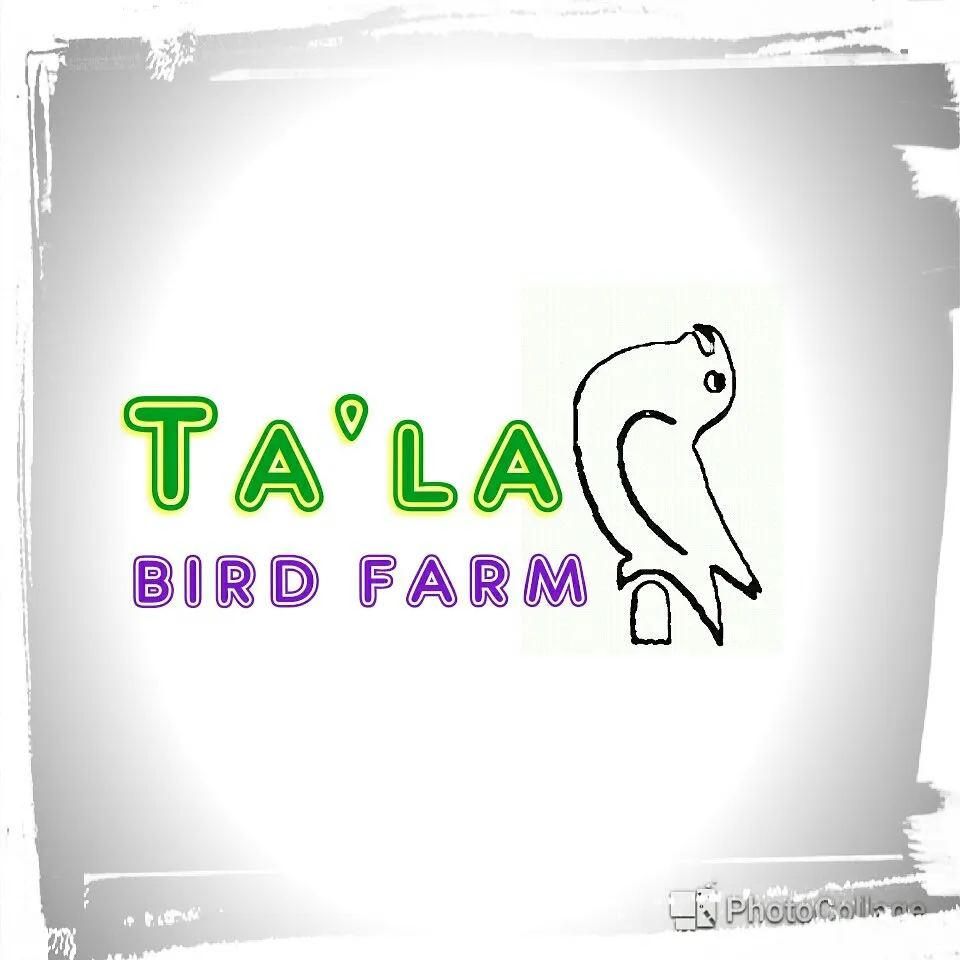Thala Bird Farm
