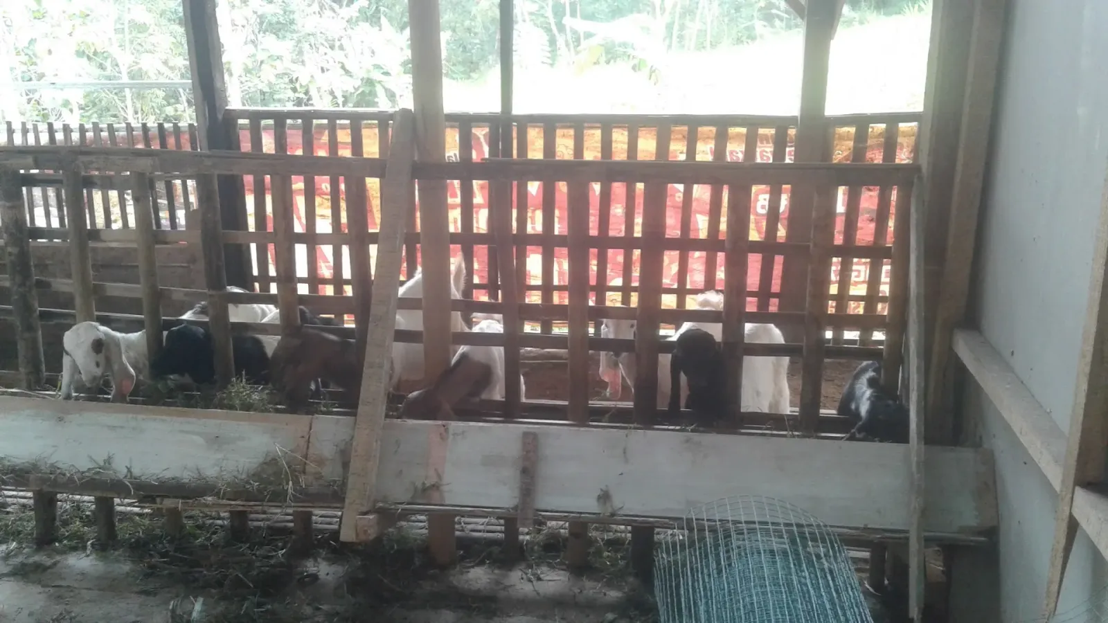 Tigan Abadi Farm (DETUKU_MART 2)