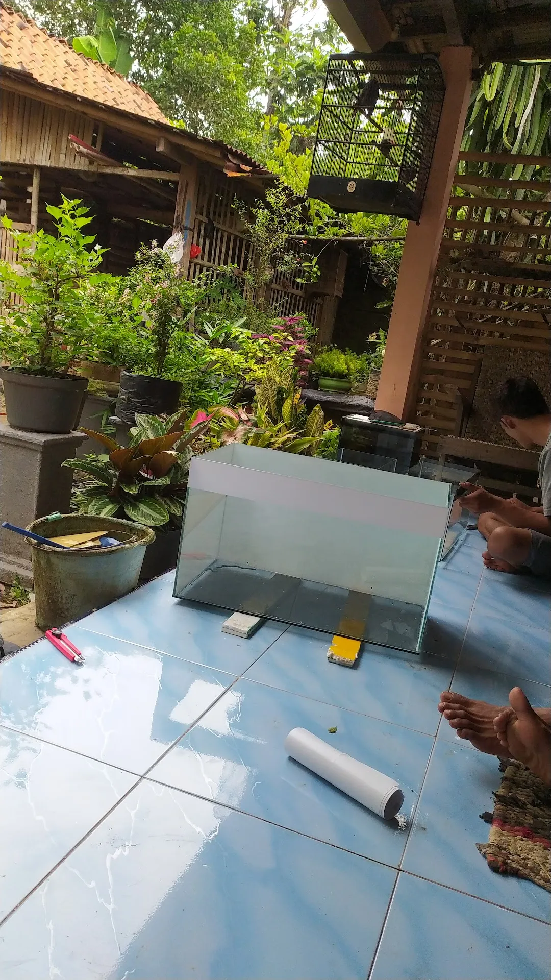 Toko Annisa Aquarium
