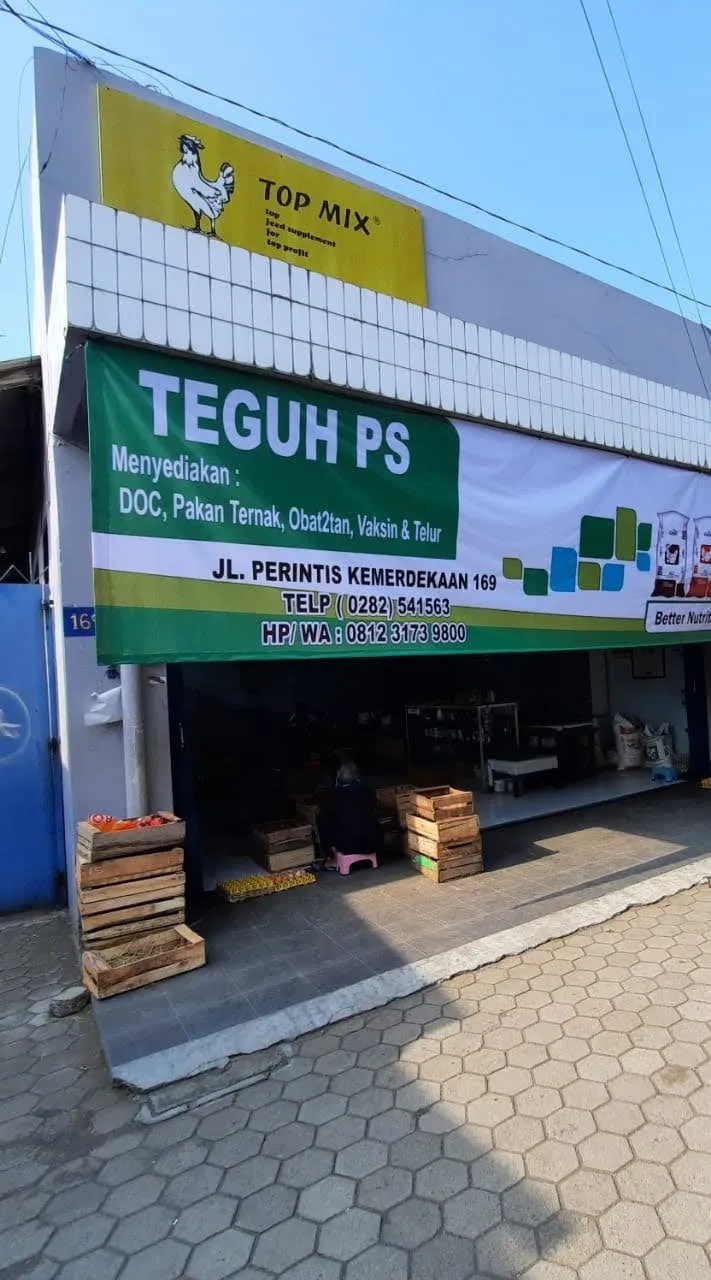 Lintang Store