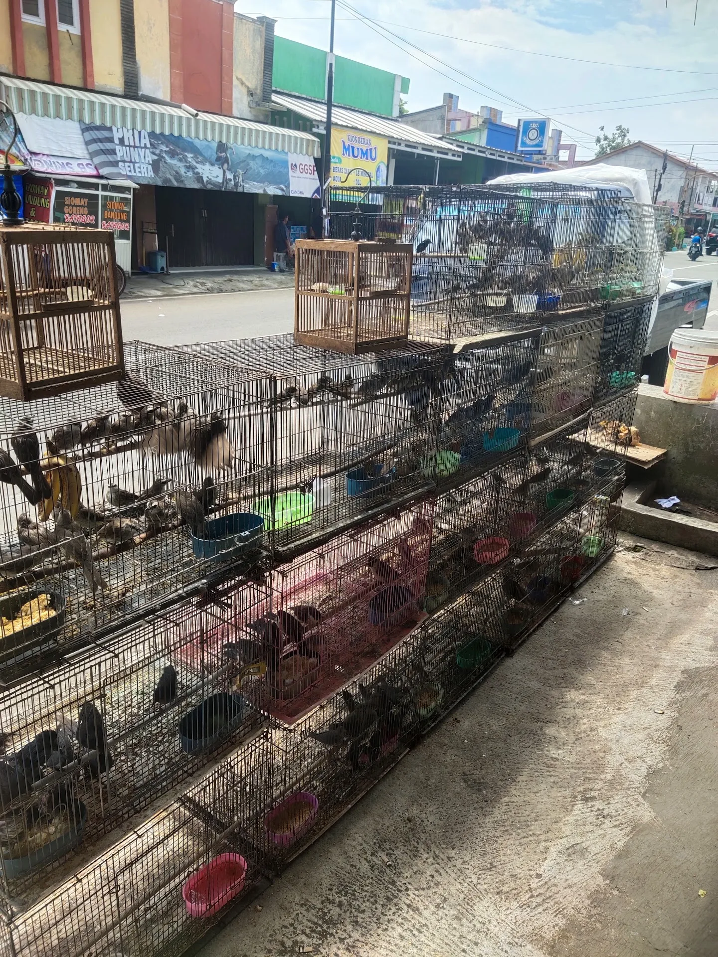 Toko Pakan Ternak "Bisma Jaya Berkah"