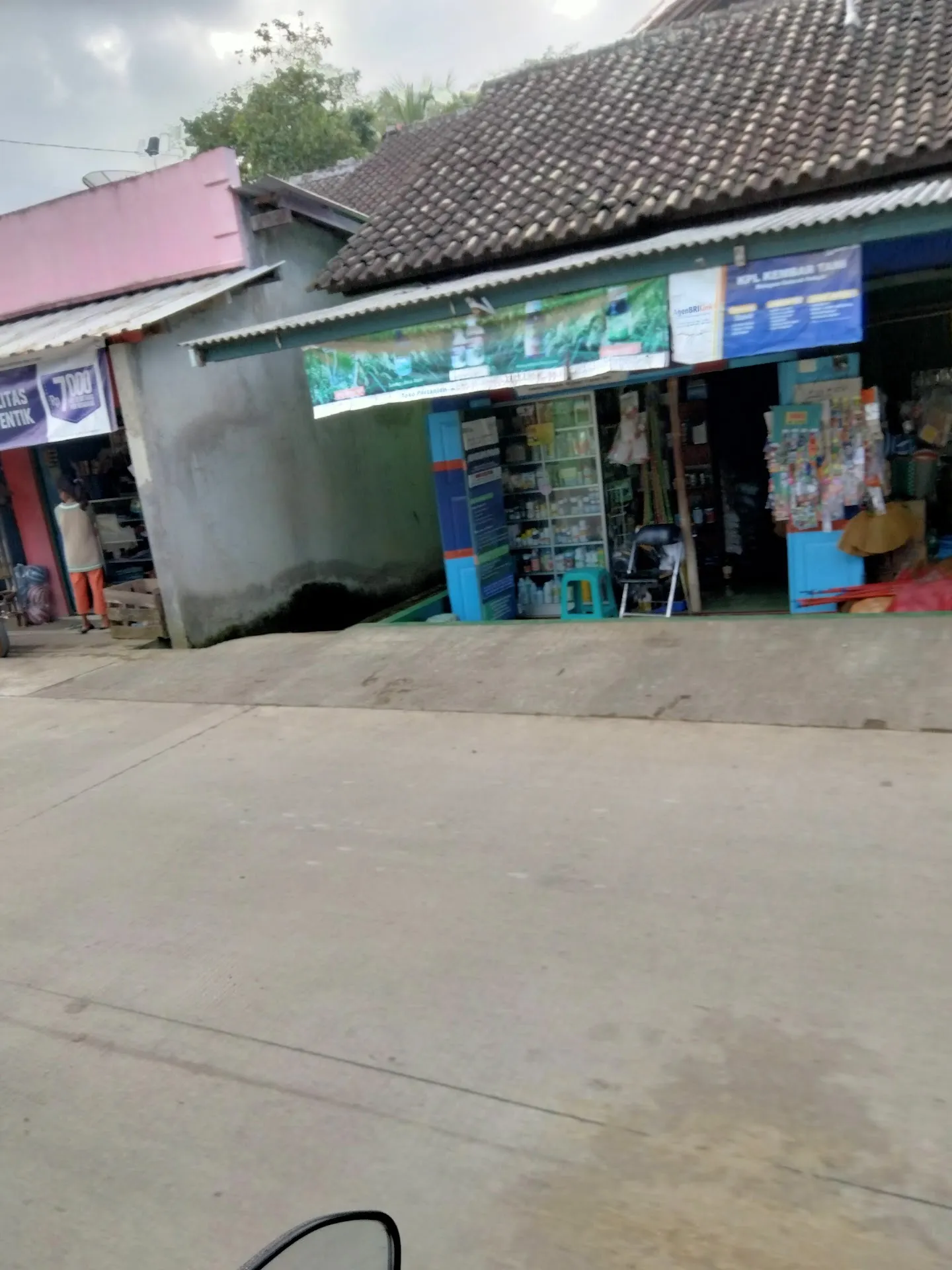 Toko Pertanian "Kembar Tani" dan "BRILINK"