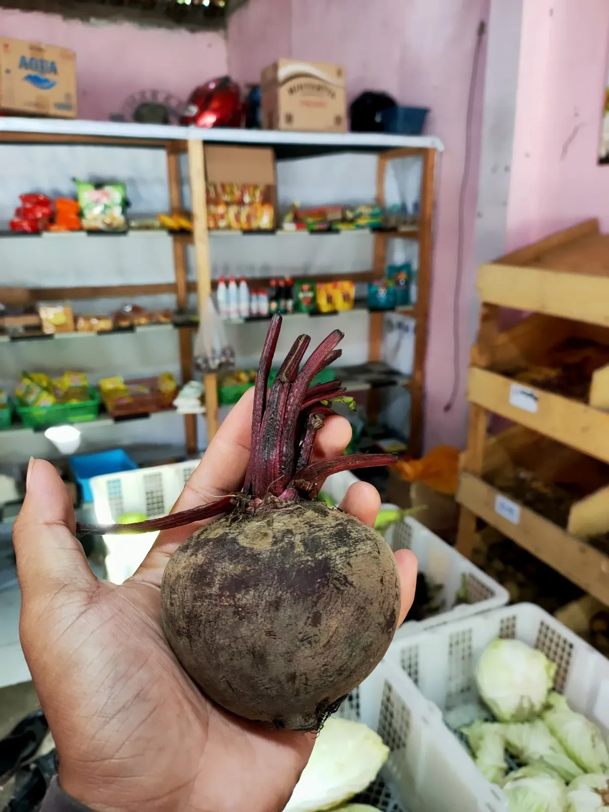 Toko SAYUR GANDAMEKAR