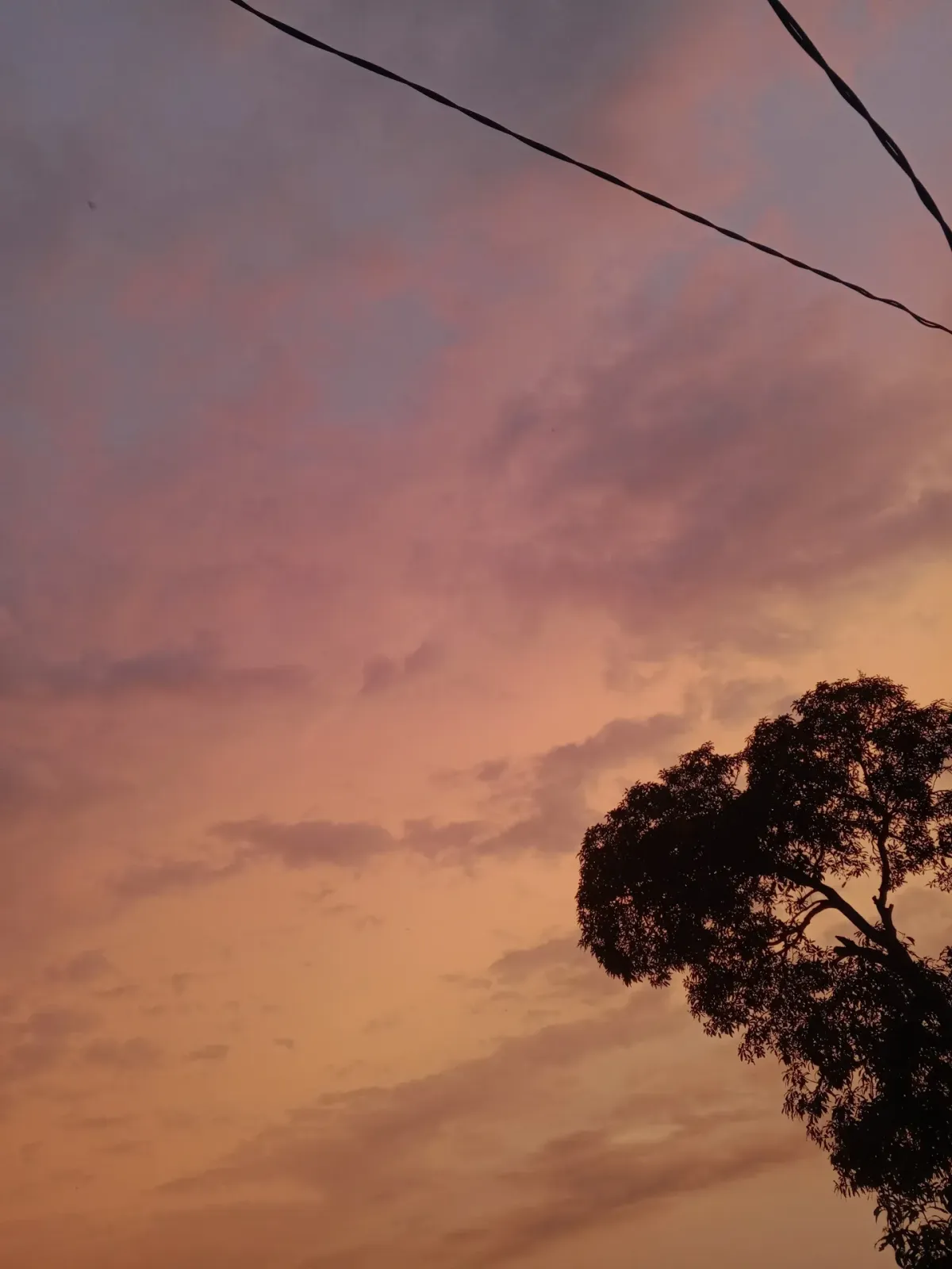 TONGKRONGAN ORANG KEREN
