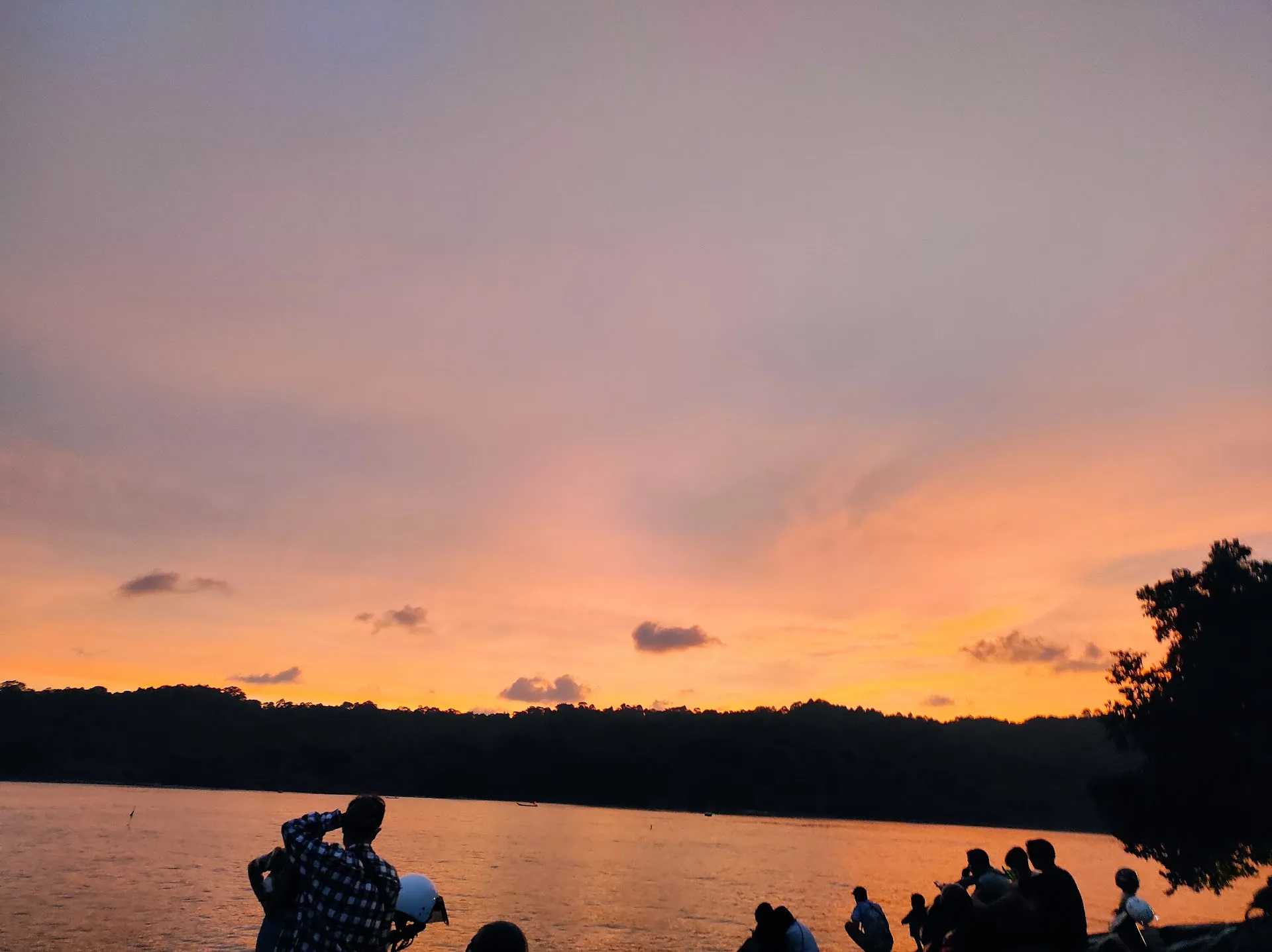 Trekdam Jongor