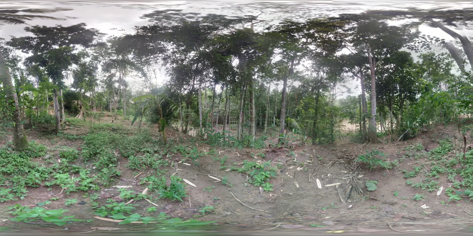 Tugu Village