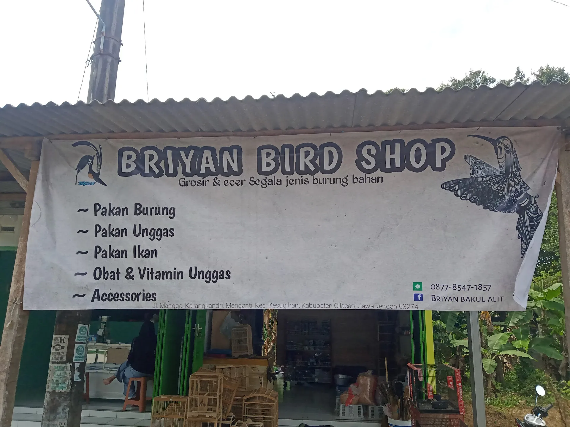 Turiman Bird
