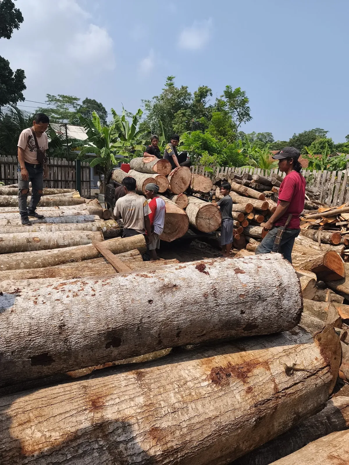 UD Cipta Mandiri kayu